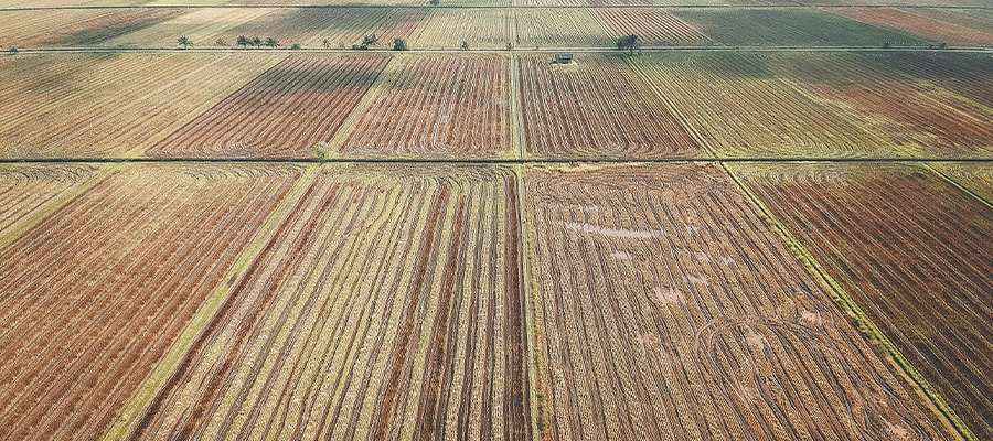 Inovação e Sustentabilidade: A Vanguarda da Engenharia Ambiental